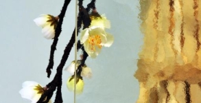 Kathedral Max čirý