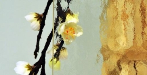 Kathedral Min čirý