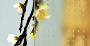 Master - Lens